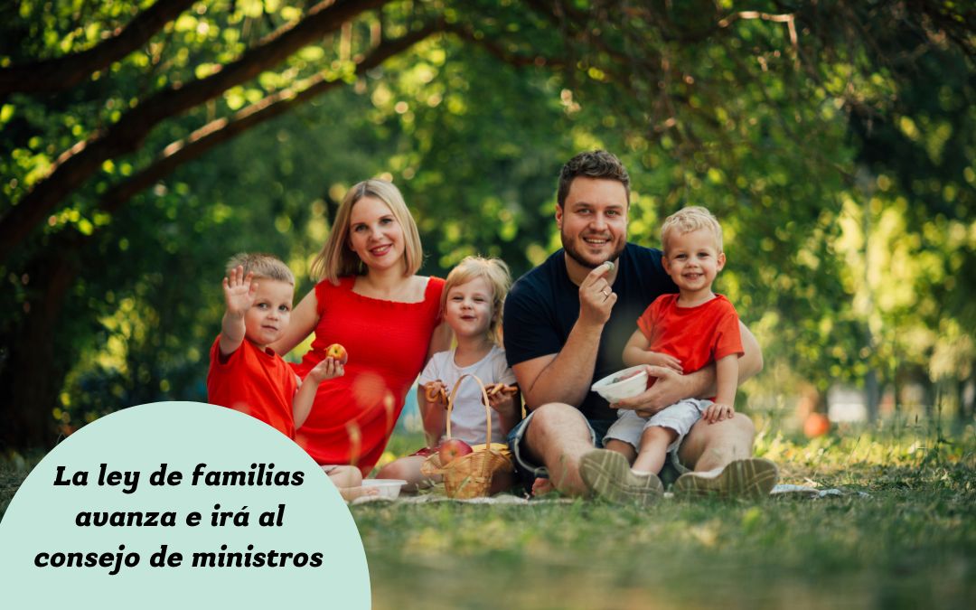 La Ley de Familias irá al Consejo de Ministros en las próximas semanas, según el ministro